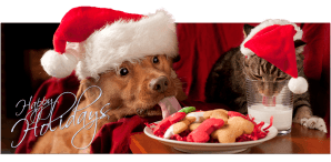 Holiday Baking for Dogs!