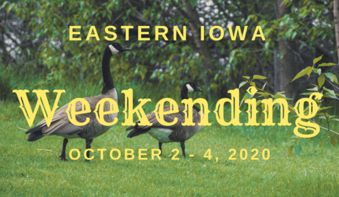 Weekending // October 2 - 4, 2020