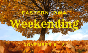 Weekending // Oct 23 - 25, 2020